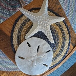 Decorative Starfish and Sand Dollar Set